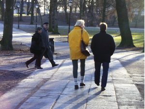 bilde av mennesker som går på parkvei