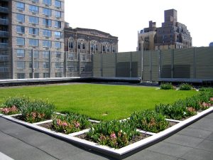 image002.jpg