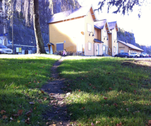 en sti over en gressplen