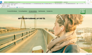 bilde fra forsiden på nettsiden hjem jobb hjem, av en kvinne som står ved en vei på en bru.