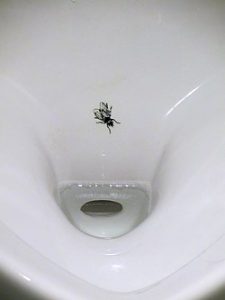 Figuren viser en urinal med falsk flue på toppen.