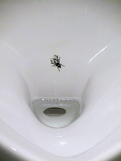 Figuren viser en urinal med falsk flue på toppen.
