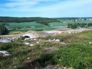 Bilde av ny viltovergang for hjortedyr og andre pattedyr.