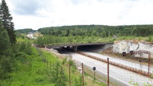 Bilde av eldre viltovergang for hjortedyr og andre pattedyr.