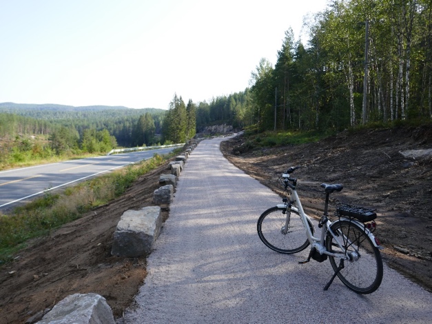 Figuren viser et foto av en sykkel på en sykkelvei. Sykkelveien går langs en bilvei.